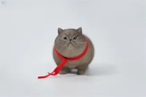 3.0 Figure Realistic Felidae Resin Cute Animal Model Collector Home Decoration Gift for Adult (JXK178C) 1:6 Scale thoughtful disk intelligently Fat Cat 