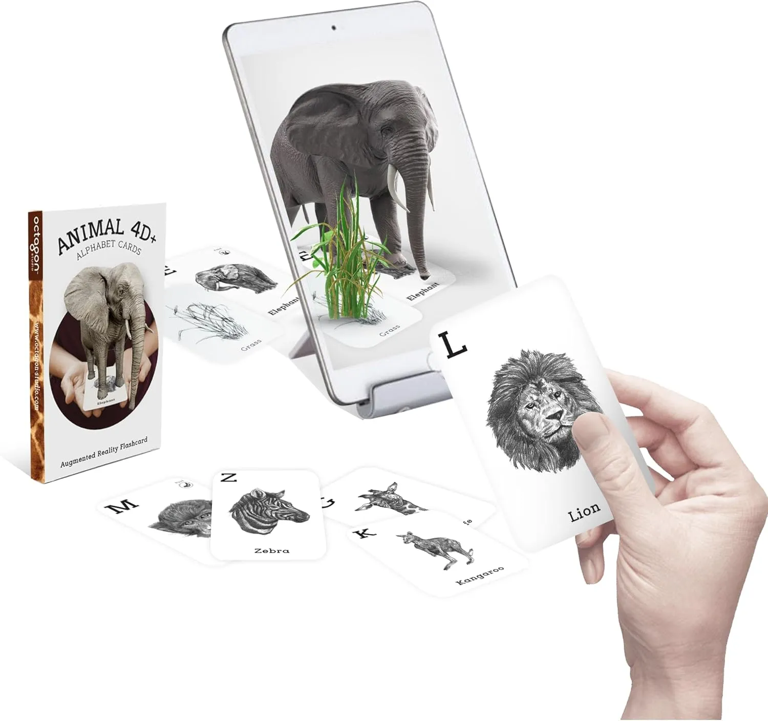 acute coconut curator enter �C Interactive Learning for Ages 4  (Animal 4D ) 4D  Augmented Reality Flashcards for Kids �C Educational STEM Cards with Free App 
