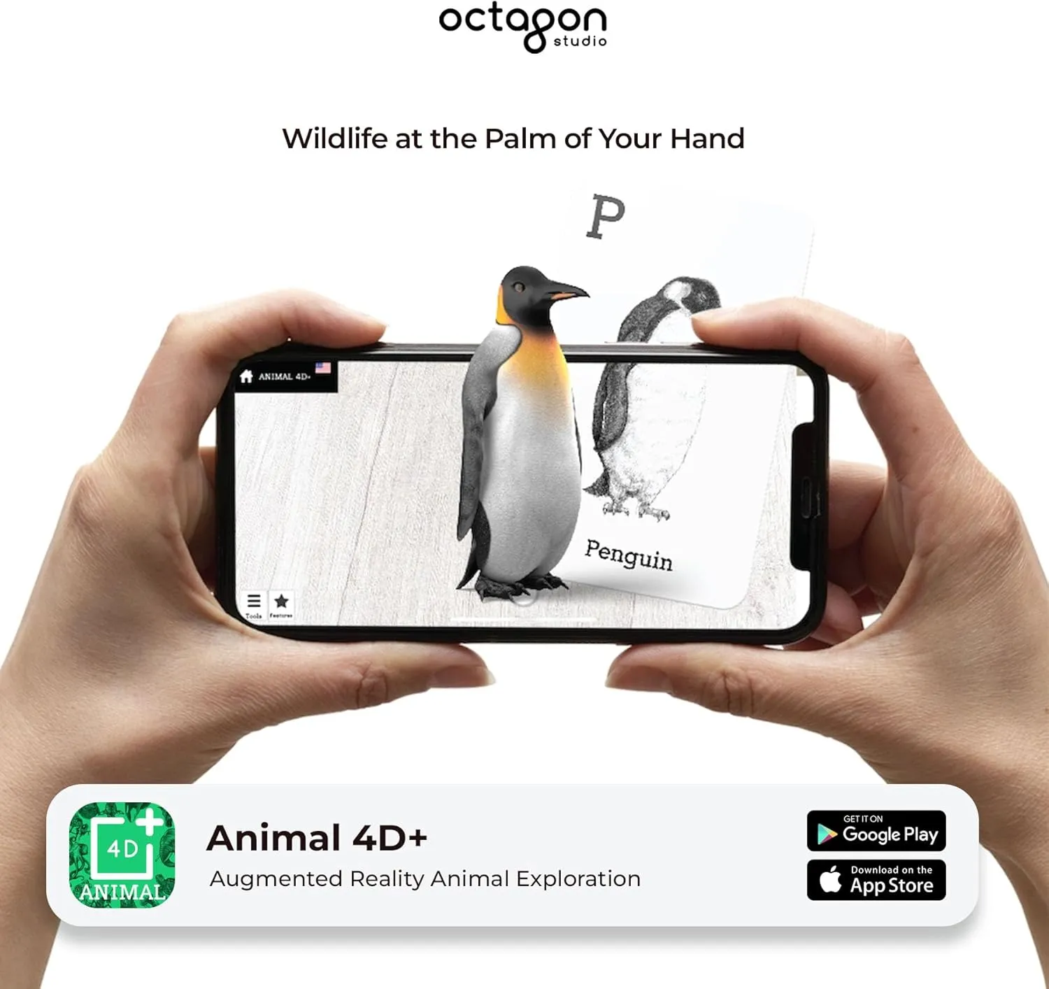 acute coconut curator enter �C Interactive Learning for Ages 4  (Animal 4D ) 4D  Augmented Reality Flashcards for Kids �C Educational STEM Cards with Free App 