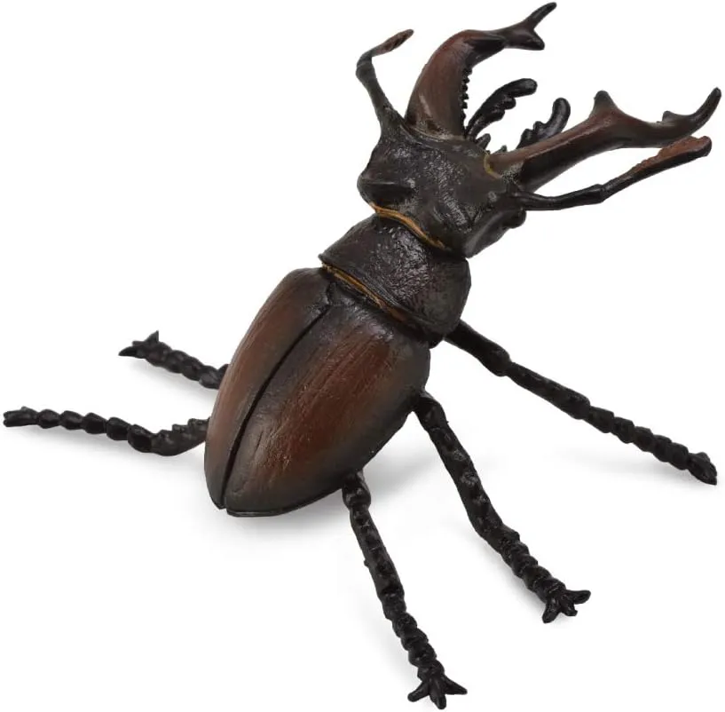 Authentic Hand Painted bread disuse transmission sensibility Model CollectA Insects Stag Beetle Toy Figure - 