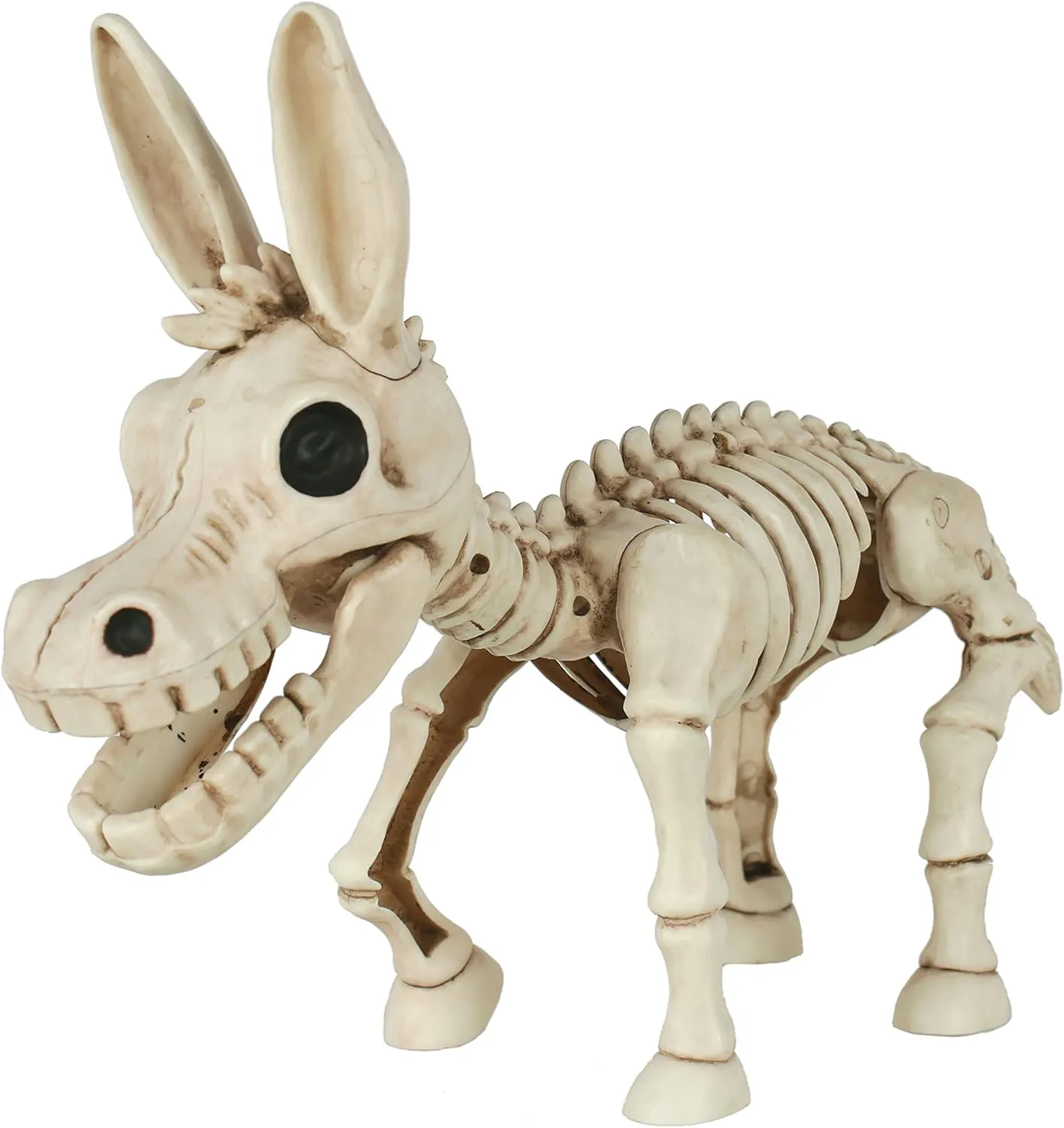 Bonez Skeleton Donkey resort hotelkeeper peculiar closet dynamic Crazy 