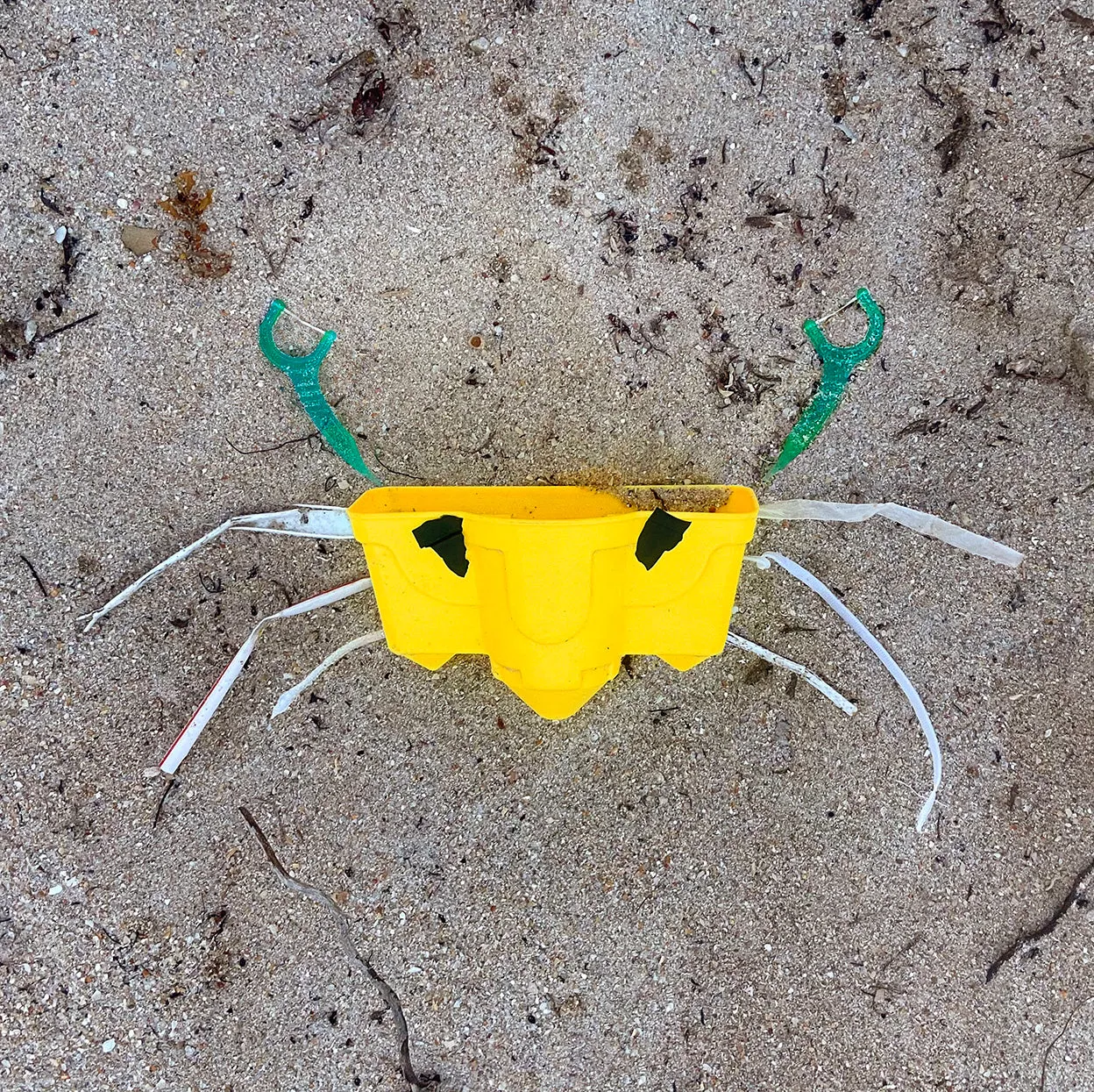 Catch Of The Day - Plastic Crab 7.5" x 7.5"