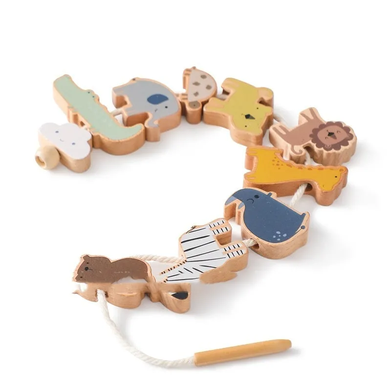 Educational Multi-functional Early Education Wooden Hands-on Brain Toys