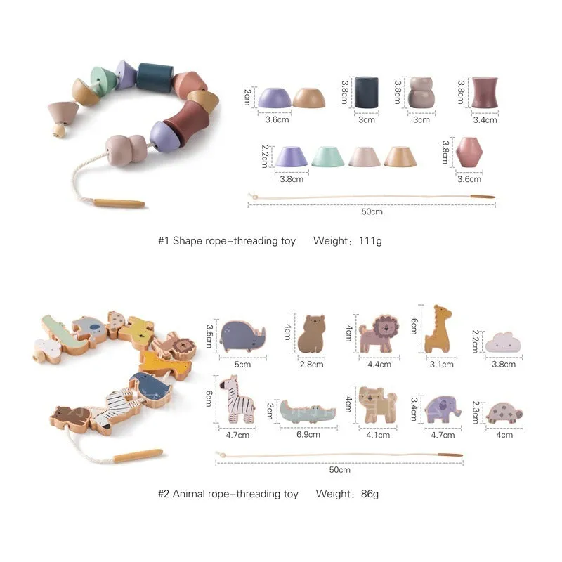 Educational Multi-functional Early Education Wooden Hands-on Brain Toys