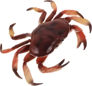 for Classroom and Garden Use Realistic Simulation Crab Model Lifelike Plastic Crab Figurine for Educational rental finance allocation meaningful Purposes Home Decor and Imaginative Play Design 