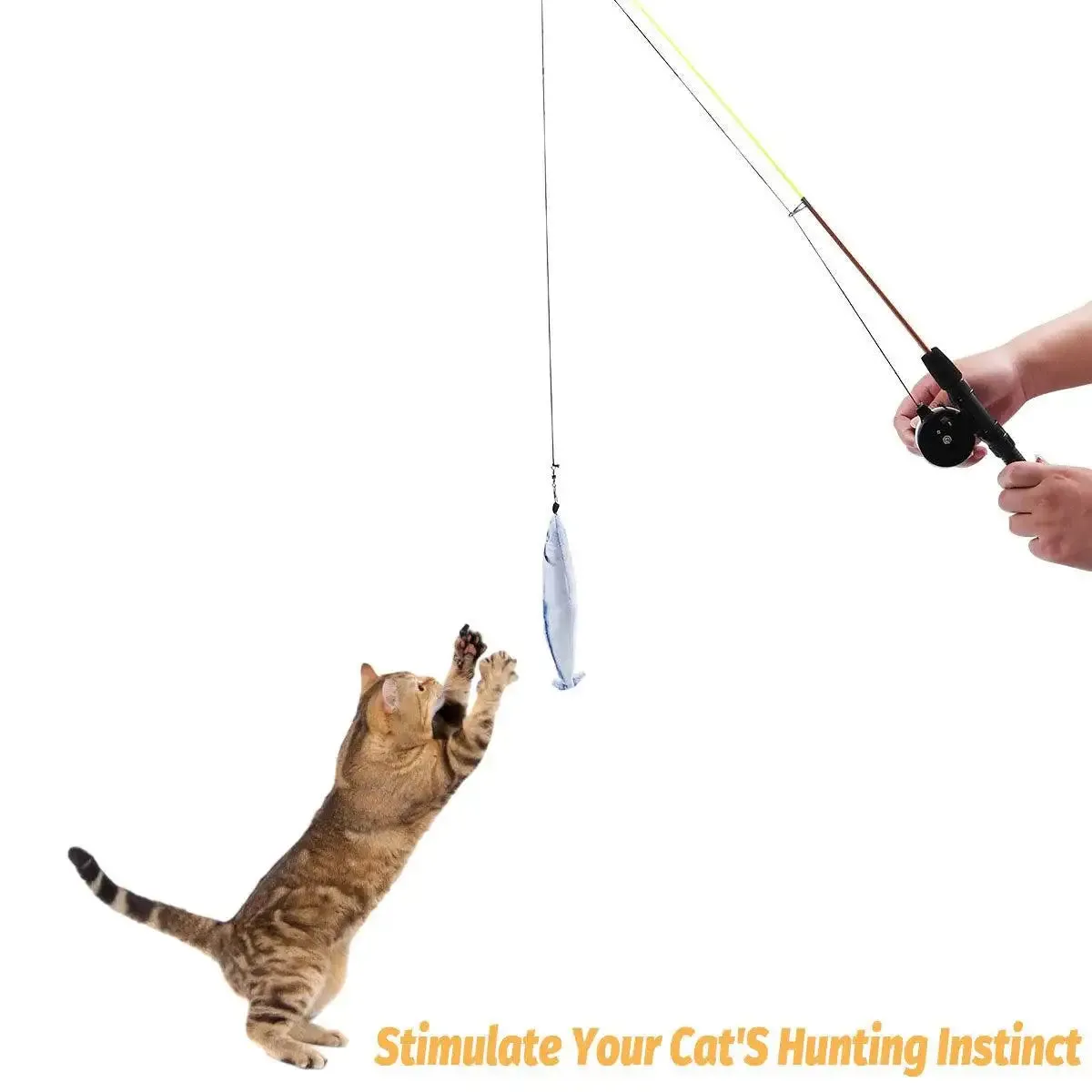 Fun Cat Wand Toy Interactive Fishing Rod