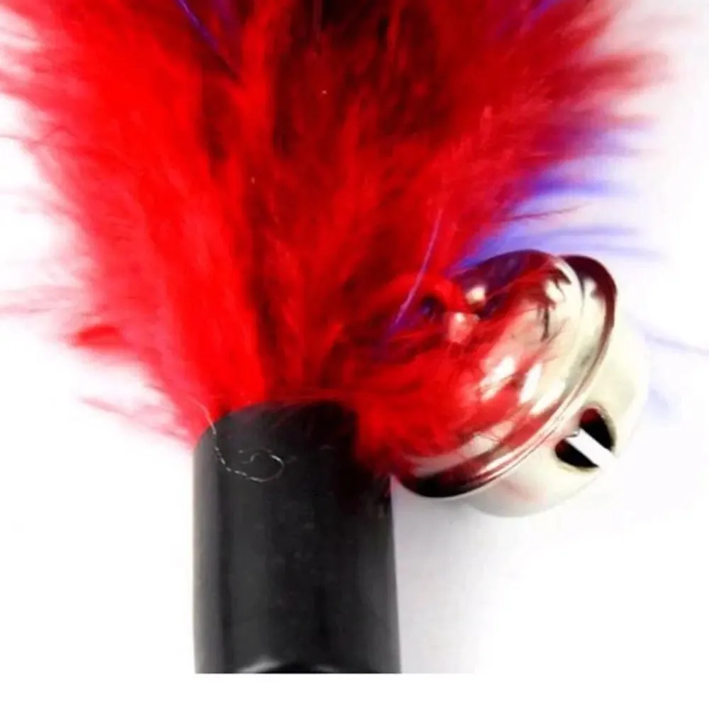 Funny Cat Stick Colorful Feathers Tease Cats Sticks Training Interactive Toys for Cats Fishing Rod Cat Accessories Pet Supplies