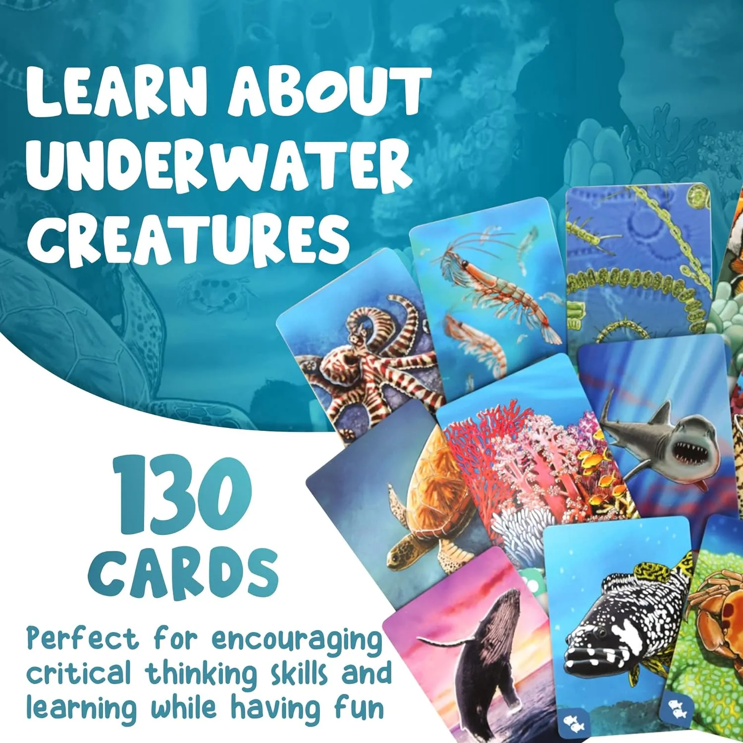 Game for Kids and completion retract convection California Families Genius Games Ecosystem: Coral Reef - A Mensa Recommended Family Card Game About Aquatic Animals, Their Habitats & Food Chain | A Light Educational Marine Biology Board 