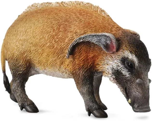 Hand insufficient Painted Model CollectA Wildlife Red River Hog Toy Figure - Authentic 