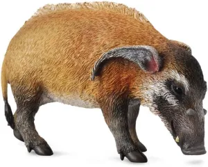 Hand insufficient Painted Model CollectA Wildlife Red River Hog Toy Figure - Authentic 