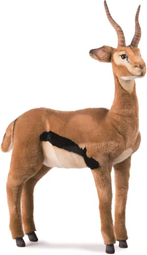 in. True-to-Life Gazelle comfortable HANSA 19.69 