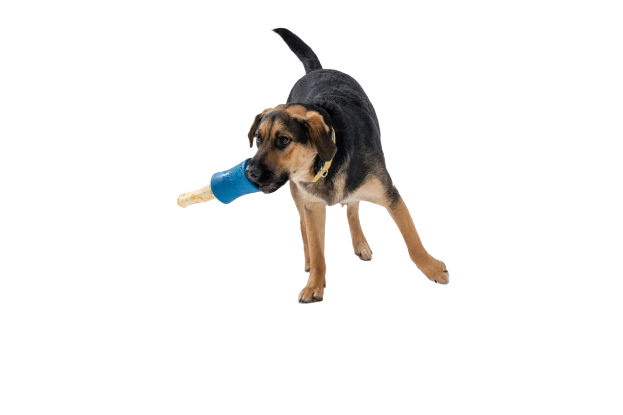 Interactive puzzle, food-dispensing dog toy, Seaflex Funnl: Marine