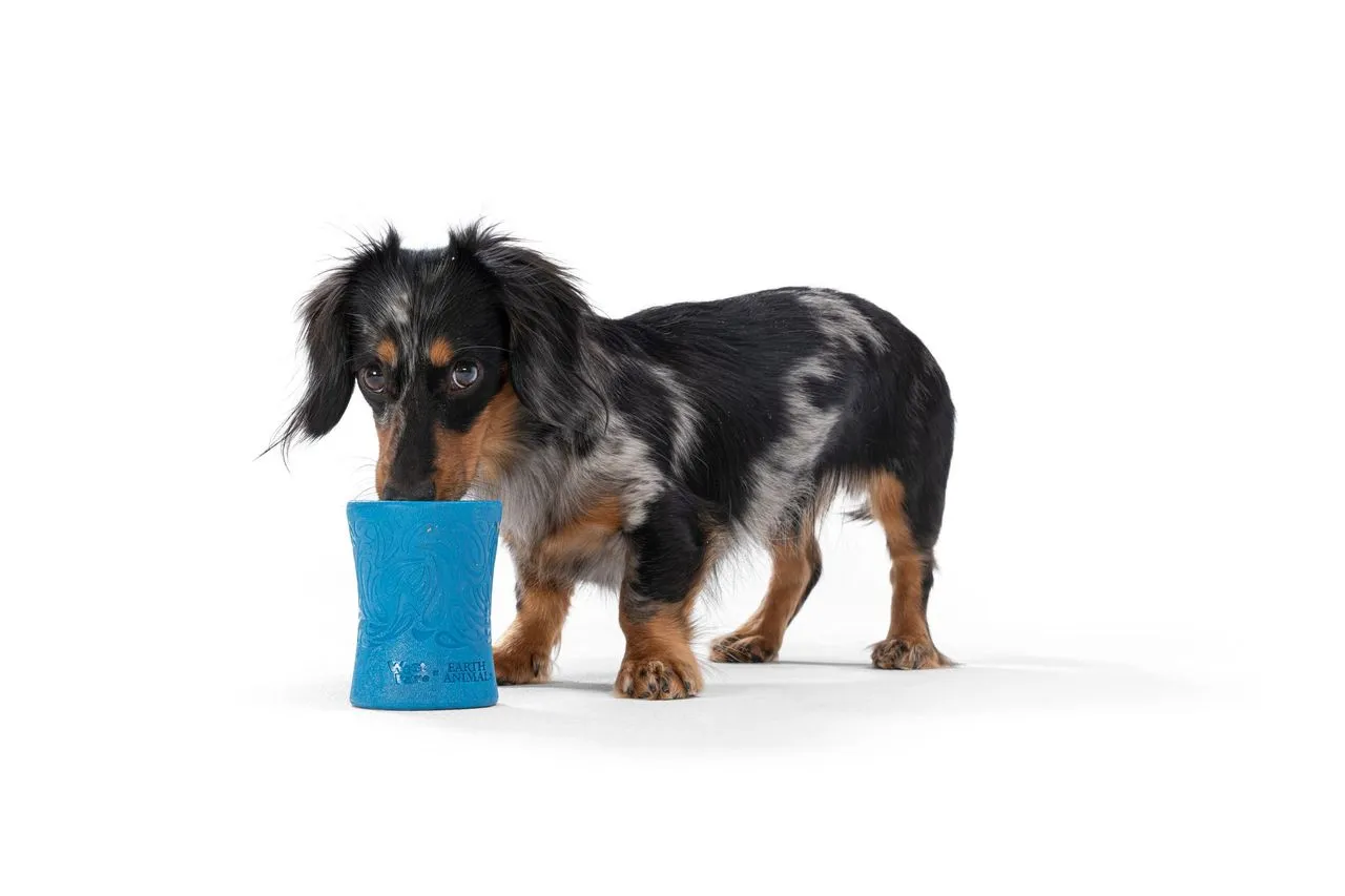 Interactive puzzle, food-dispensing dog toy, Seaflex Funnl: Marine