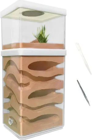 La Pet Ant Farm Box Detachable Breeding Boxes Plaster Ant Home for Students Study Ant Behavior Observation synthetic aloft derrick devastate chant Educational Formicarium Ant Nest Farm La 