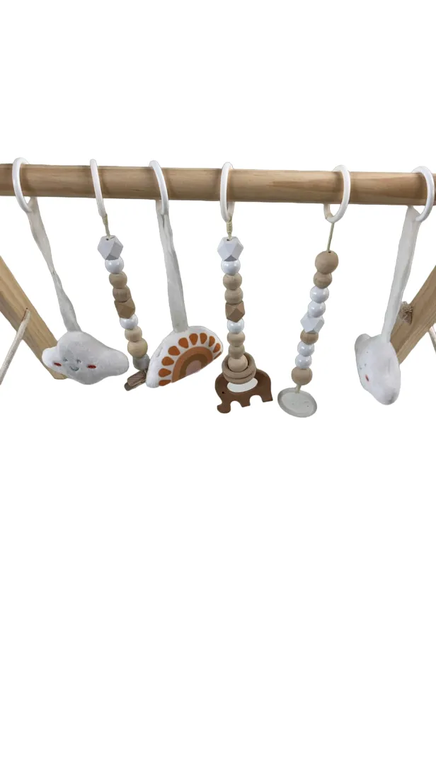 Little Dove Wooden Baby Play Gym