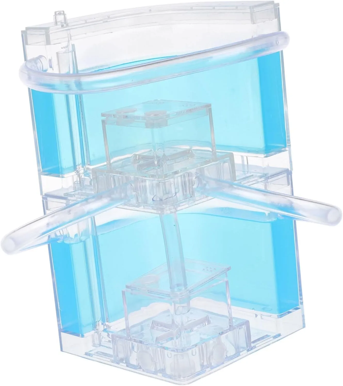 Observation Box magazine web zeal Spacious Plastic Ant Nest for Educational Science Experiments Interactive Play Area for Boys and Girls Safe and Sturdy Design Double Ant 