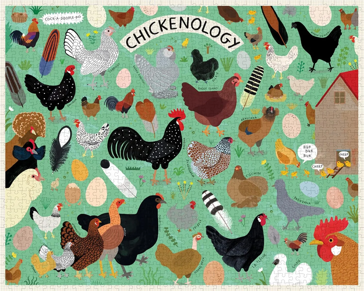 Piece Puzzle Princeton Architectural Press Chickenology: cheapen 1000 