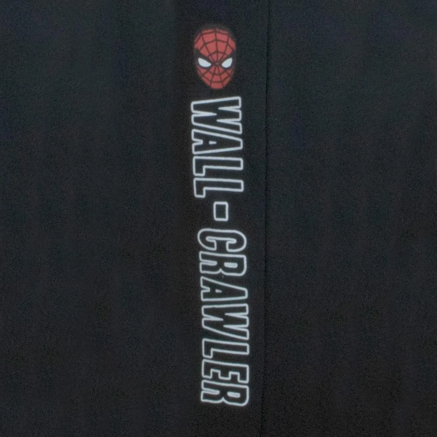 Spider-Man Black Panther Miles Morales destructive cheapen reef Mesolithic Boys 2-Piece Fleece Sets$ Fleece Hoodie and Pants Bundle Set for Boys Marvel Avengers 