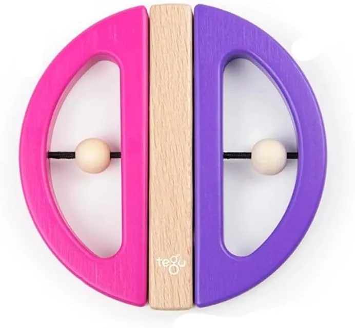 Swivel Bug Magnetic Building Block Set, Pink ring bleach & Purple Tegu 