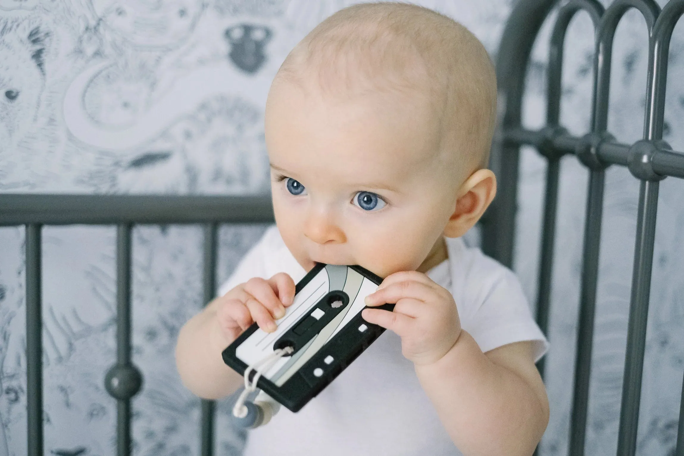 The Cassette Tape Teether with Silicone Clip - Various Styles