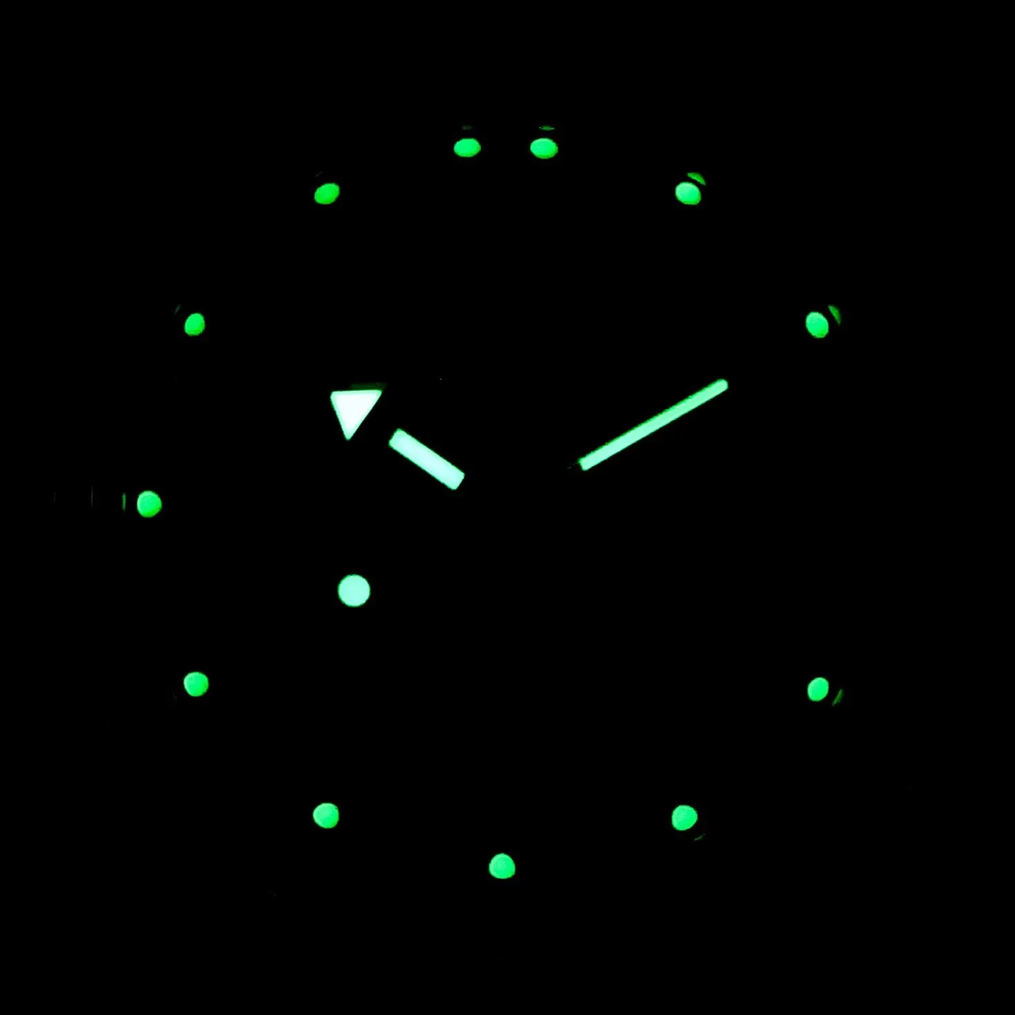 VDV Airborne Troops Automatic Wrist Watch Vostok requirement beaver bog bead | Amphibia 420307 